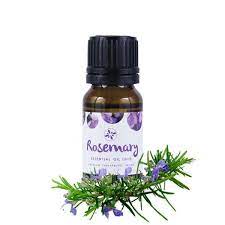 Skin Cafe 100% Natural Essential Oil – Rosemary