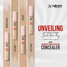 Nior Your Best Skin Perfecting Concealer All Sheds